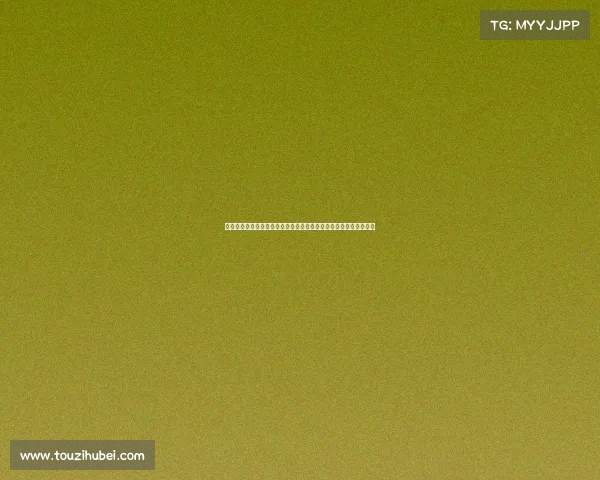 财政公平法案：推动社会资源均衡分配实现全面经济公平的关键举措