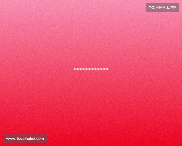 多伦多猛龙崛起之路：从重建到争冠的篮球梦想与挑战