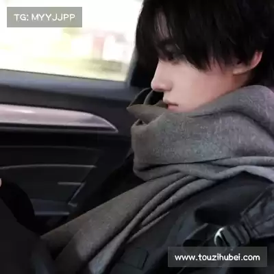 万桢翼